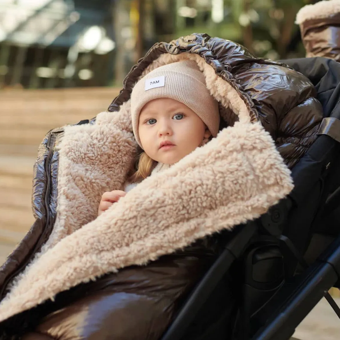 212 Evolution Blanket (Premium)