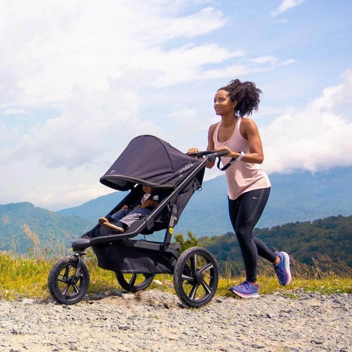 Alterrain Pro Stroller