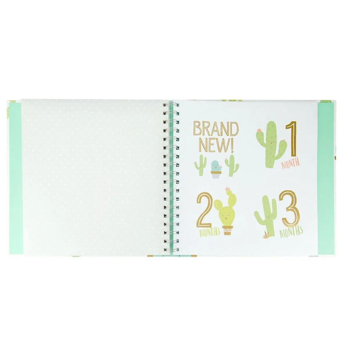 Baby Book & Sticker Set