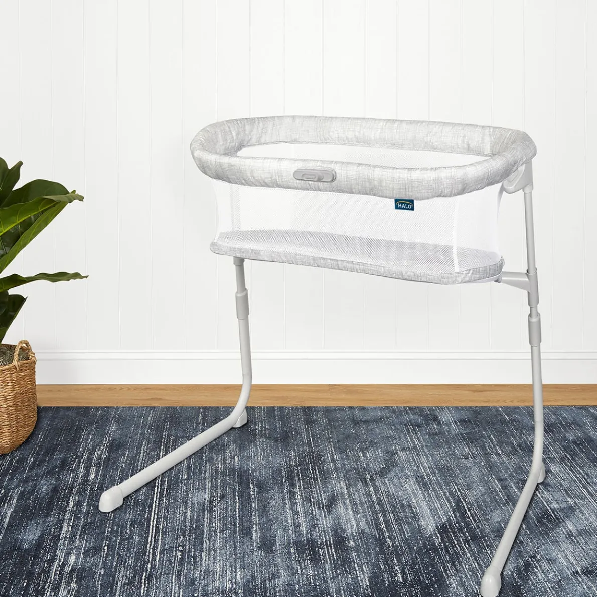 BassiNest Flex Sleeper