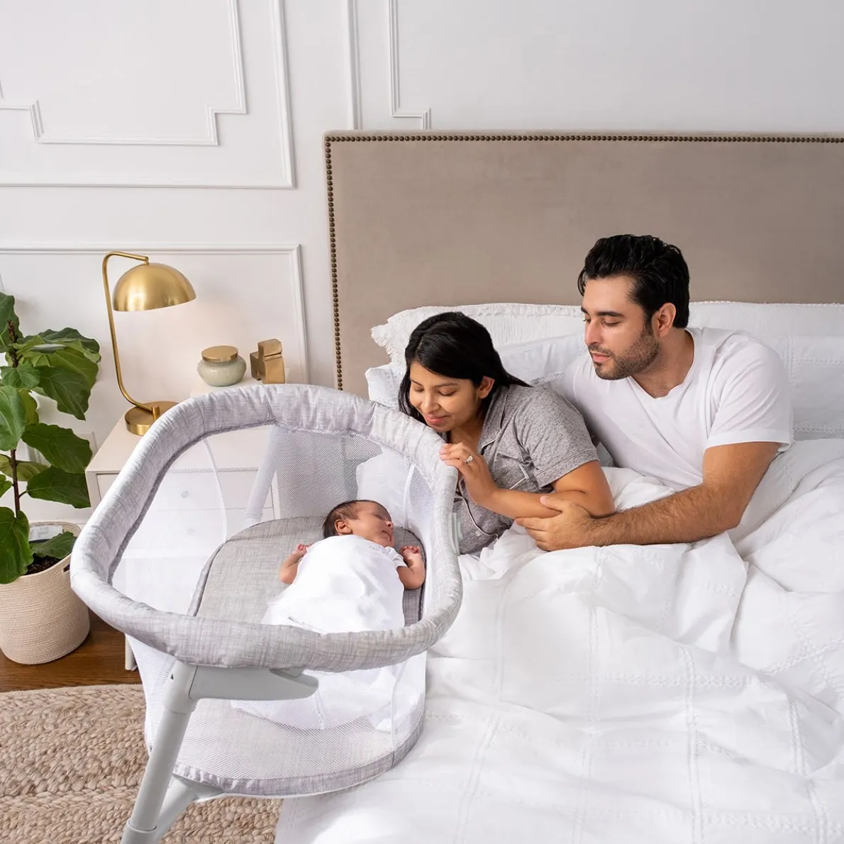 BassiNest Flex Sleeper