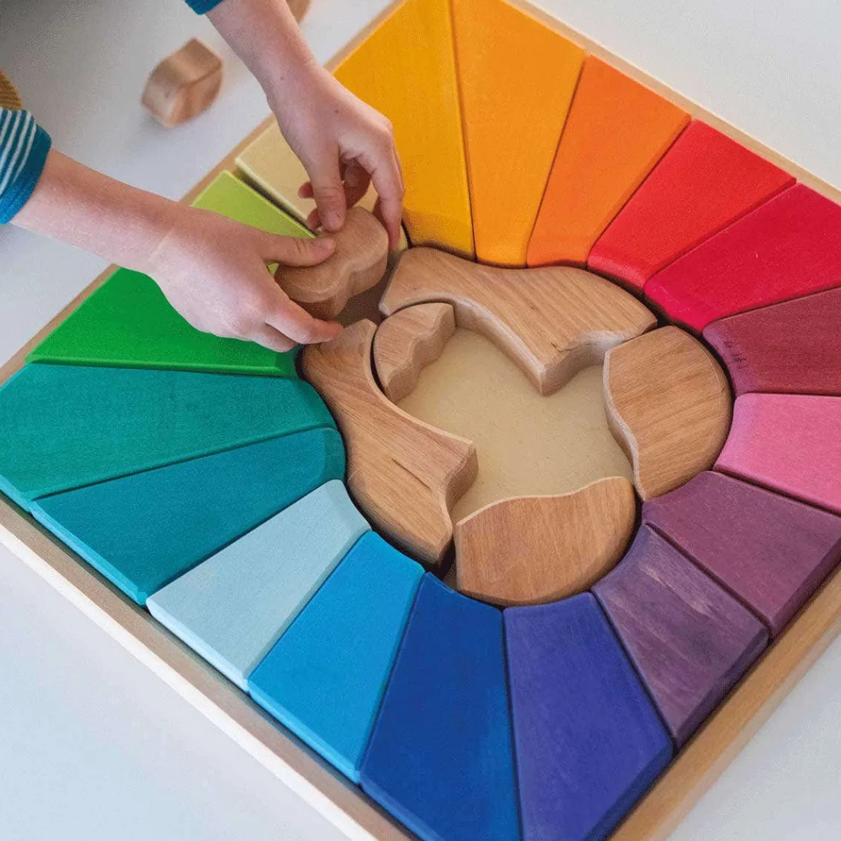 Building Set Rainbow Lion