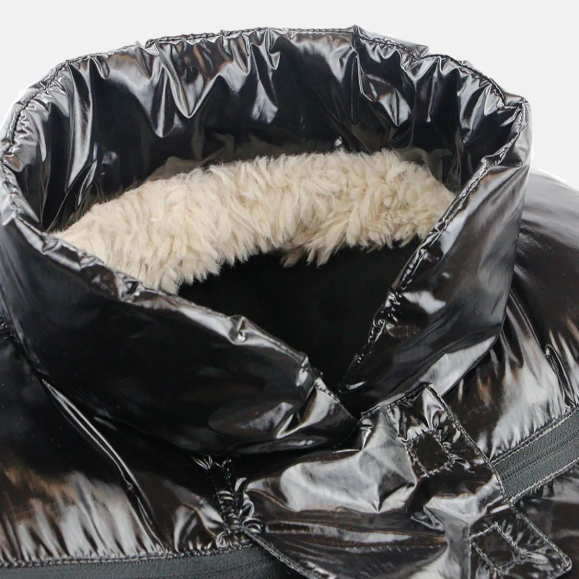 Cocoon (Black Polar)