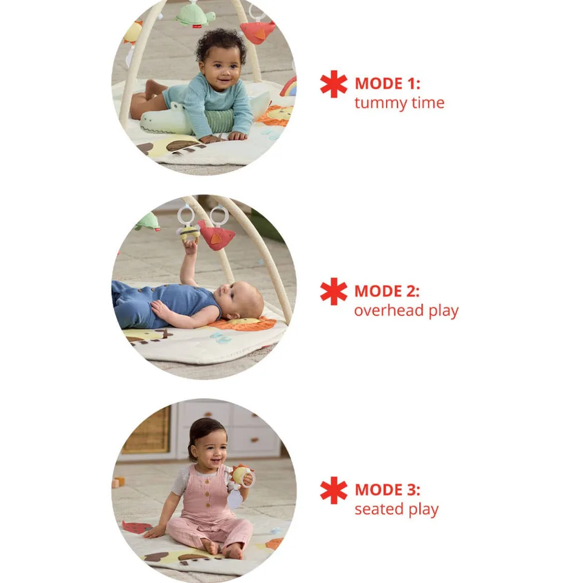 Geometric Wonders Activity Gym