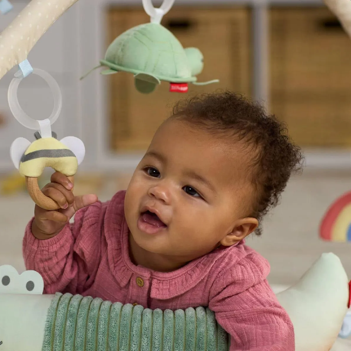 Geometric Wonders Activity Gym