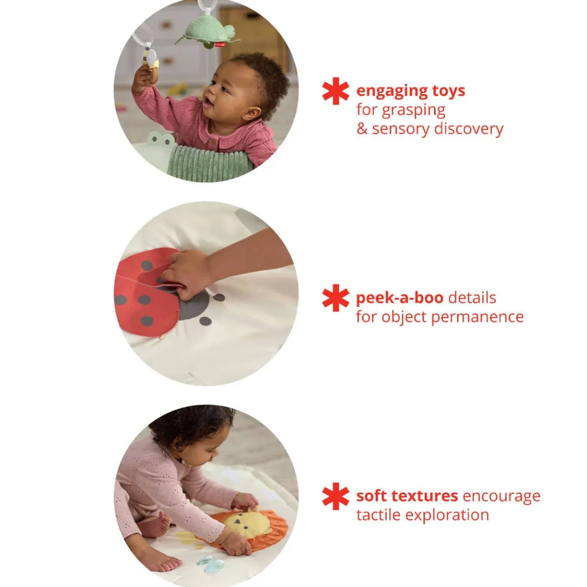 Geometric Wonders Activity Gym