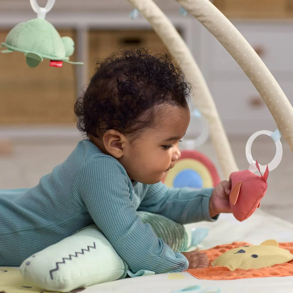 Geometric Wonders Activity Gym