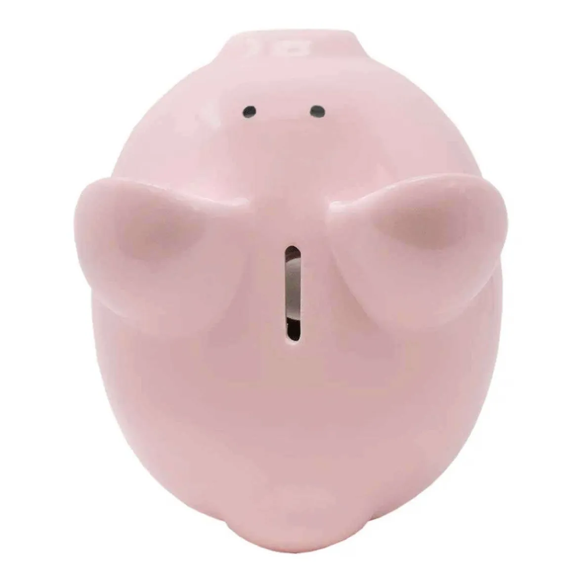 Large Piggy Bank