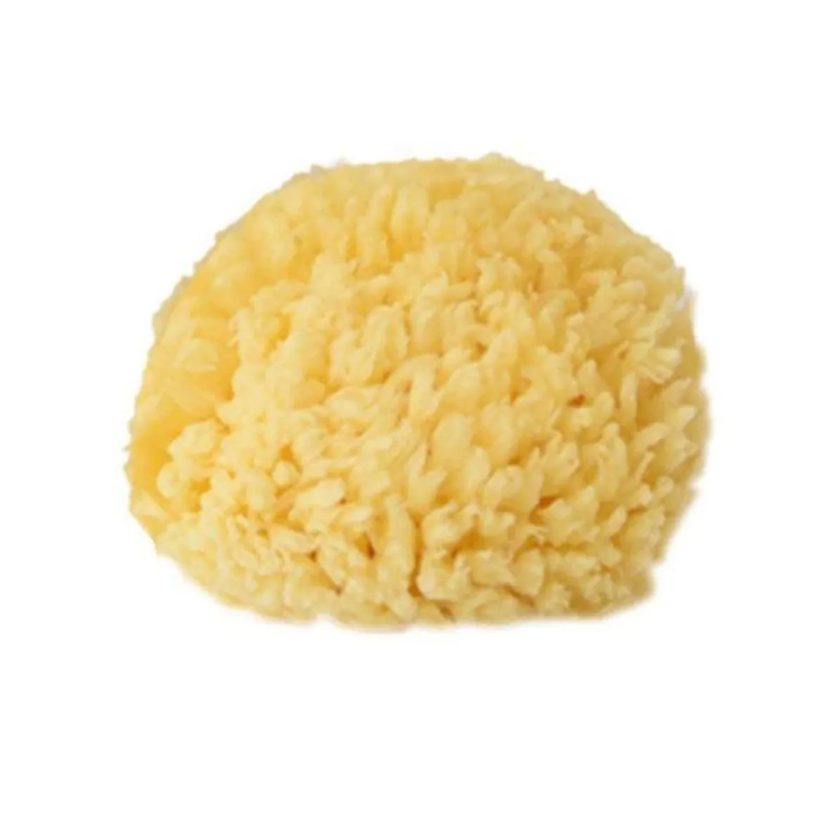 Natural Sea Sponge