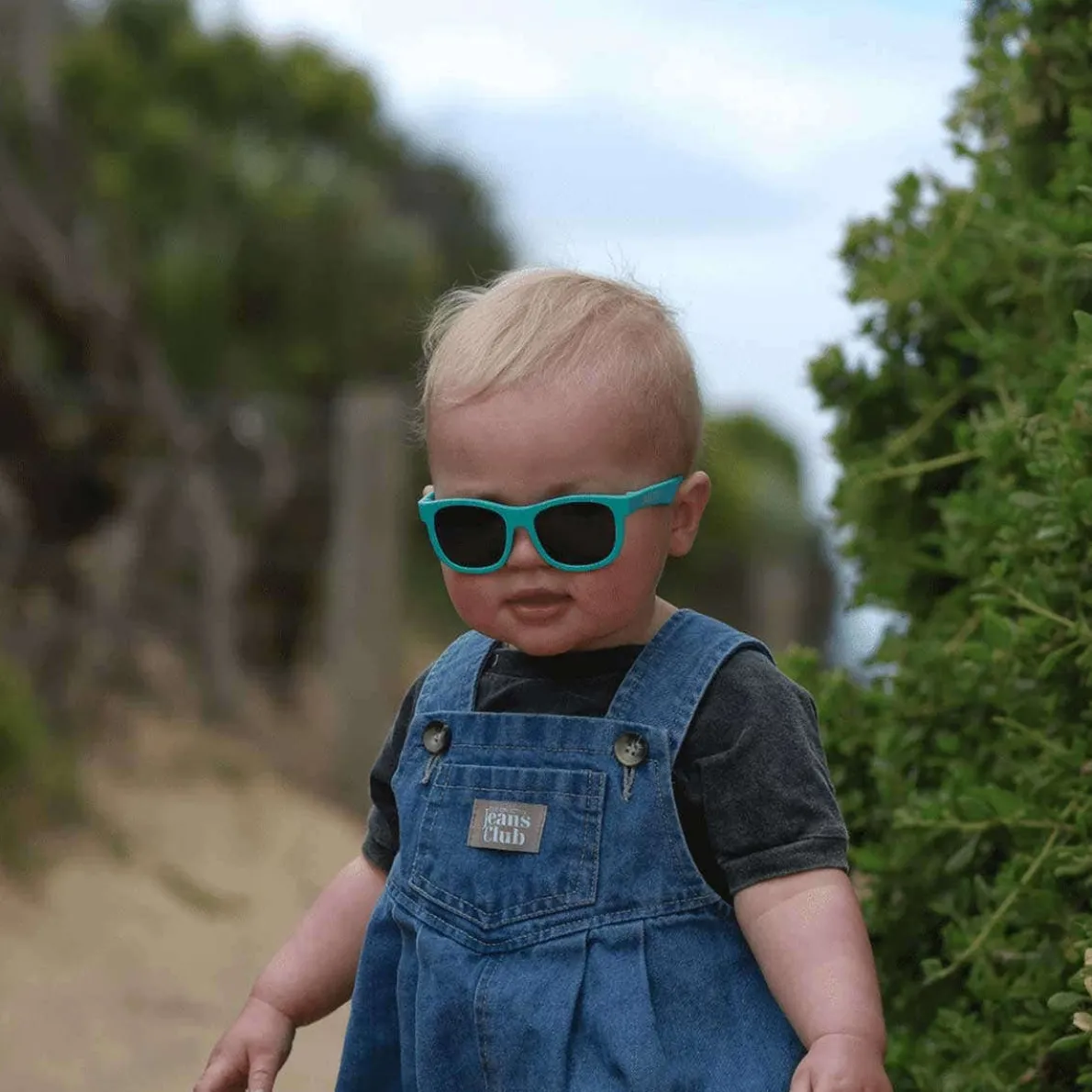 Navigator Sunglasses