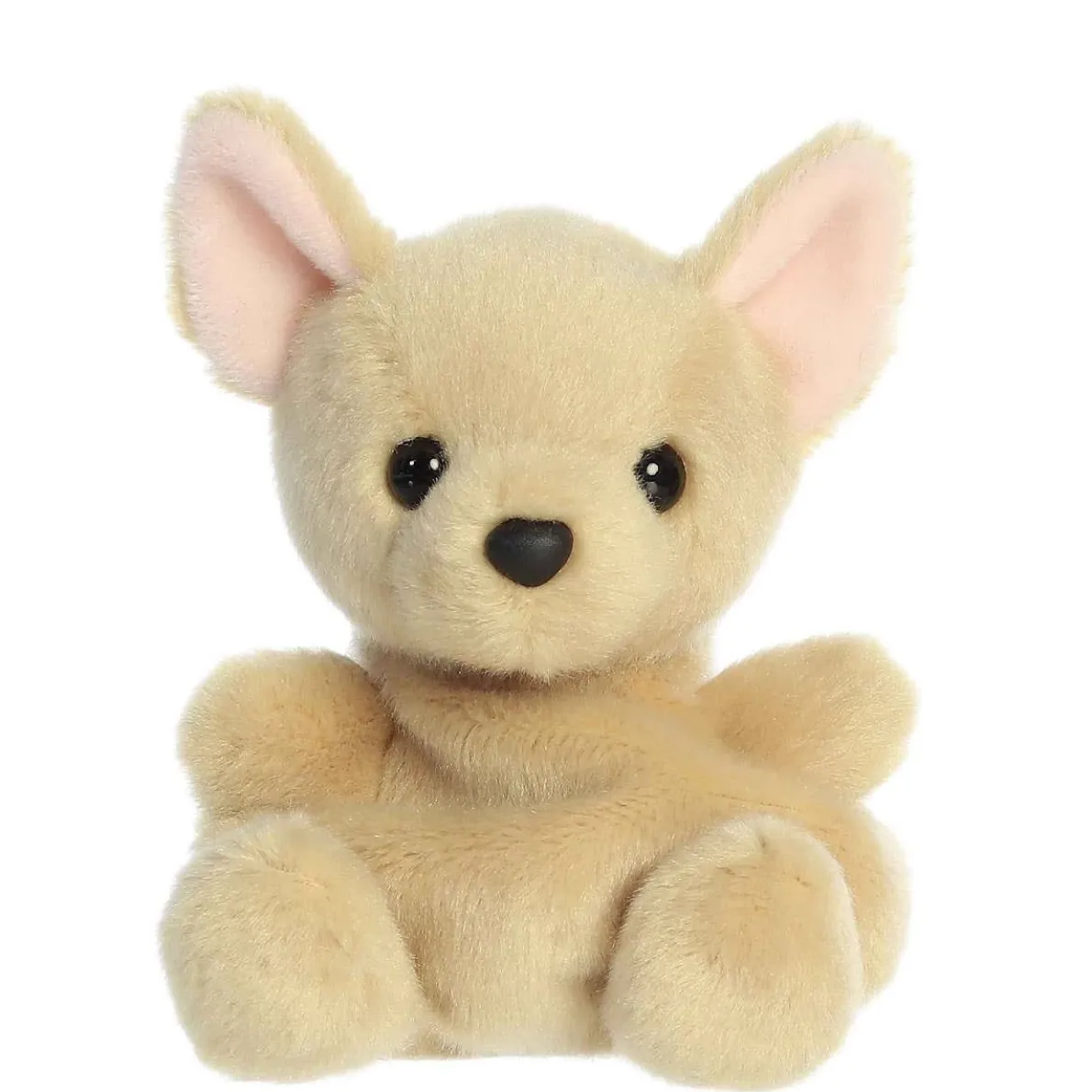 Palm Pals - Cookie Chihuahua