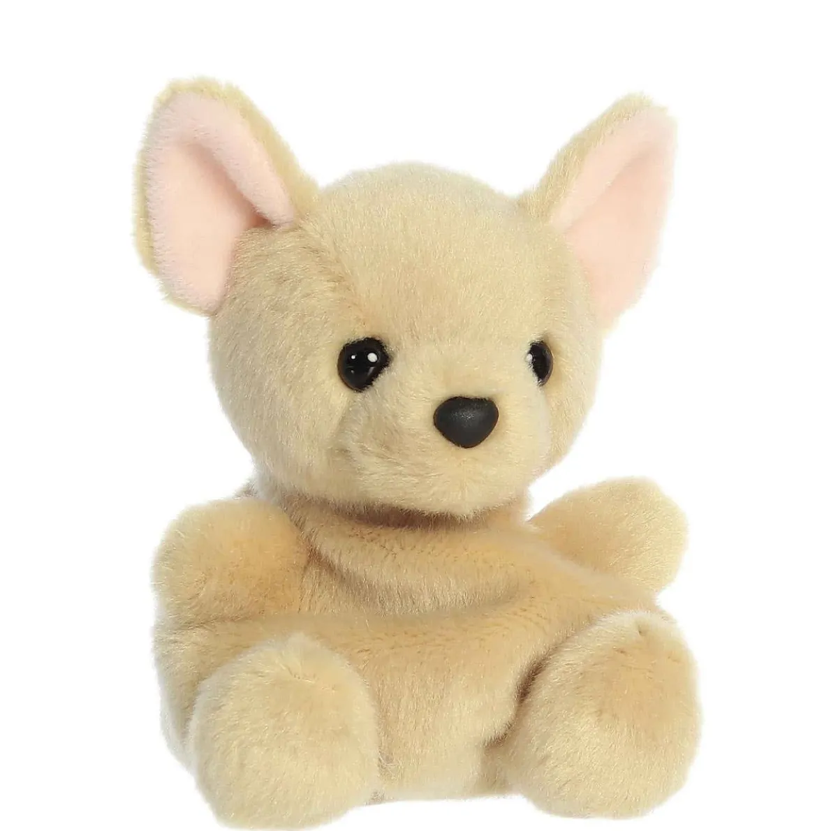 Palm Pals - Cookie Chihuahua