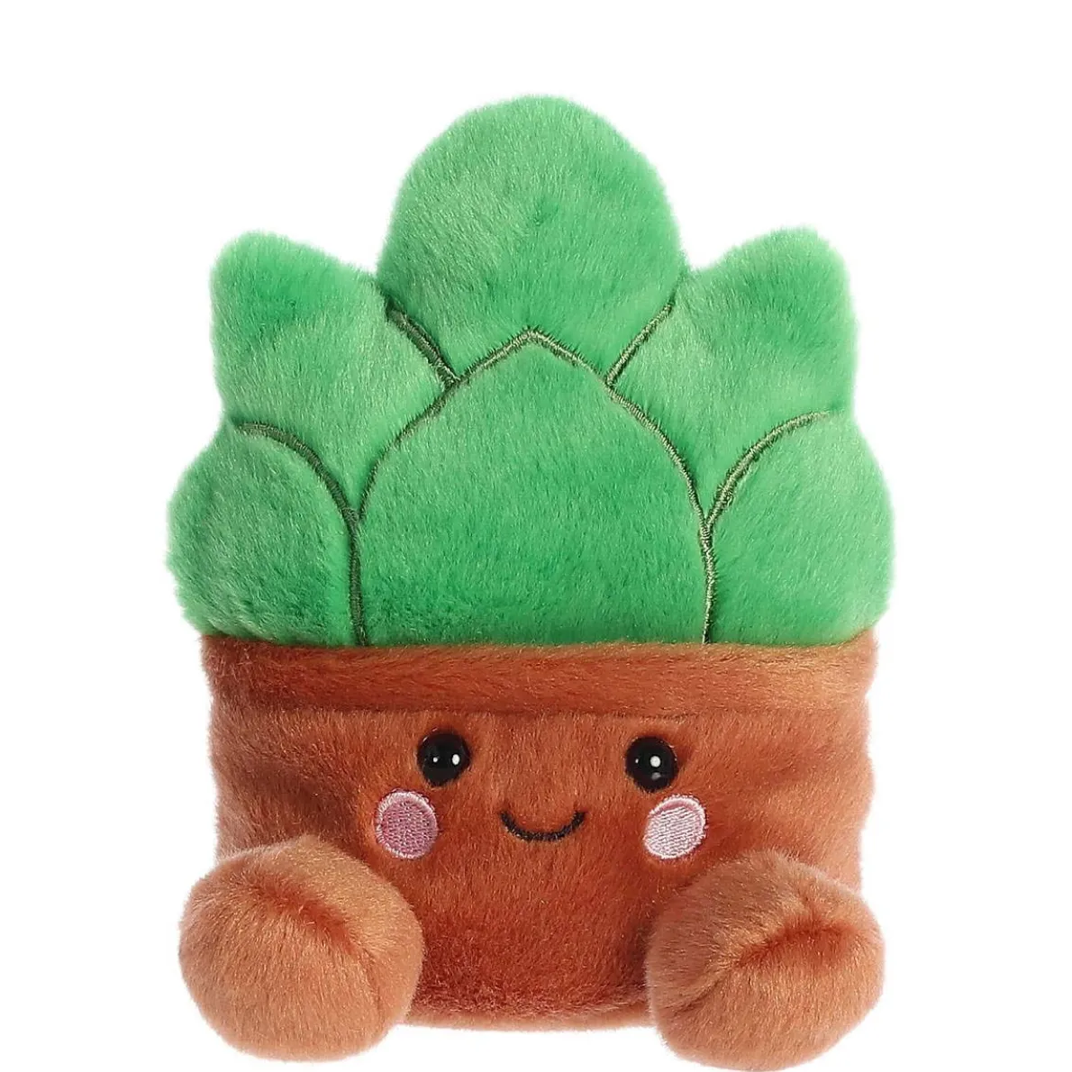 Palm Pals - Gigi Succulent