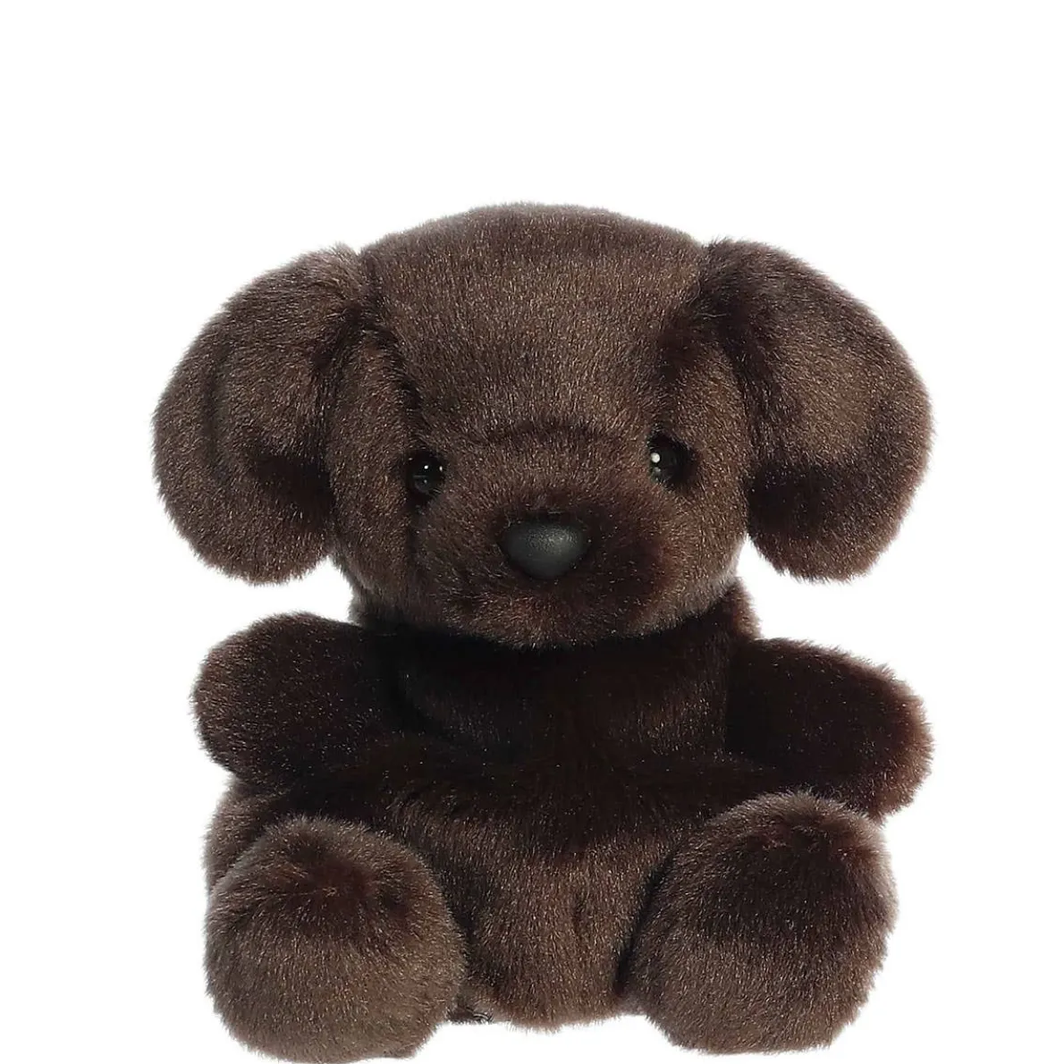 Palm Pals - Sienna Chocolate Lab