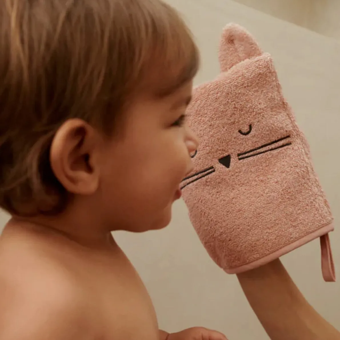 Sylvester Washcloth (3 Pack)