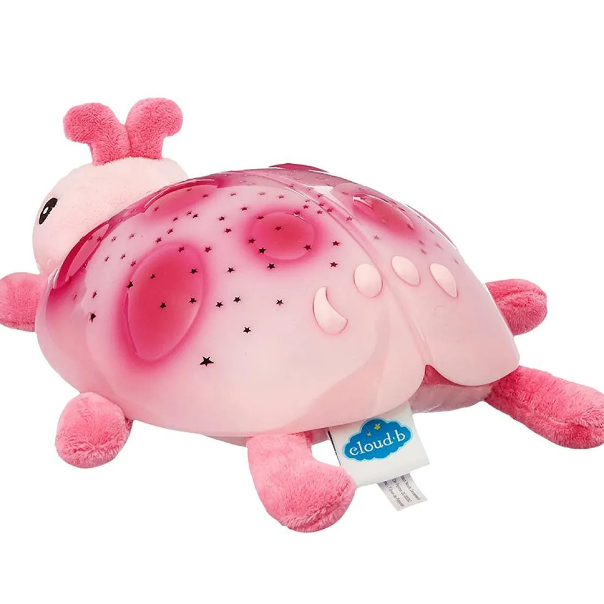 Twilight Special Edition